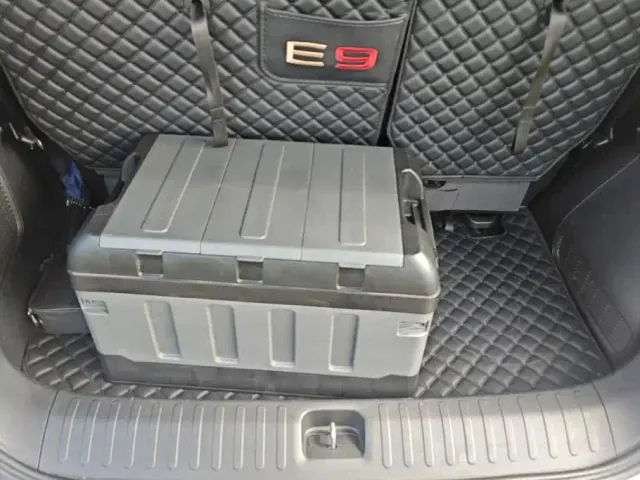 GAC Trumpchi E9 — Фото автомобиля 4