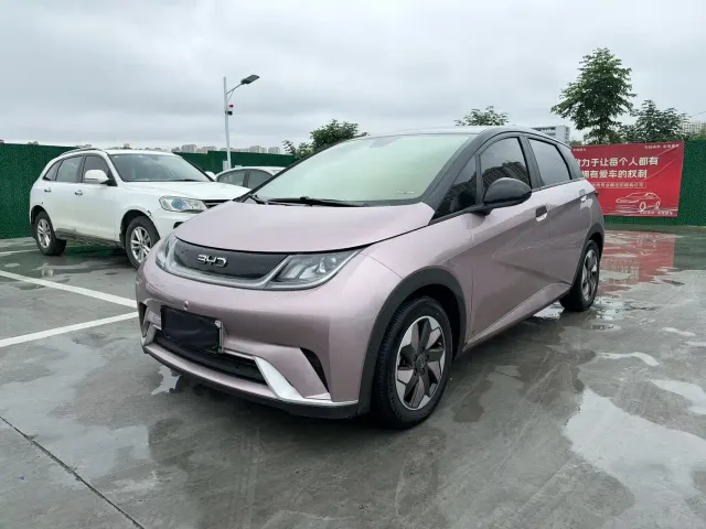 Фотография автомобиля — BYD Dolphin