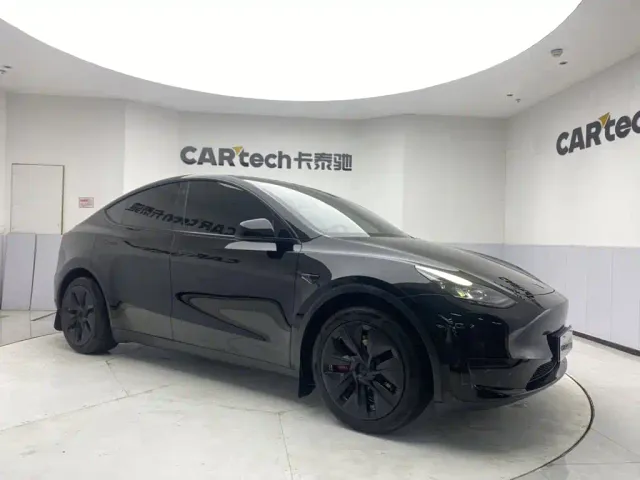Tesla Model Y — Фото автомобиля 2