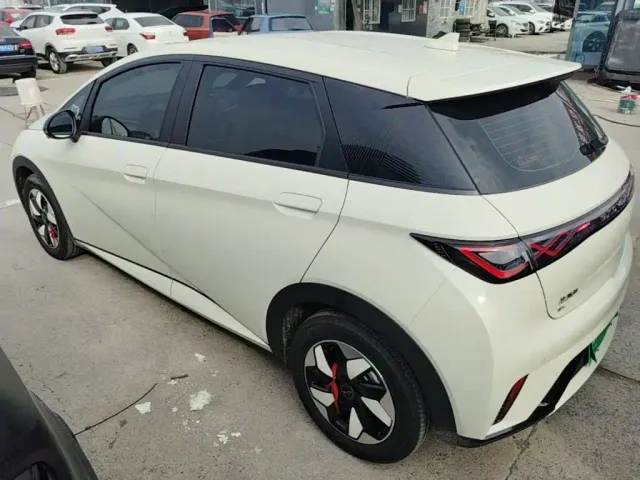 BYD Dolphin — Фото автомобиля 4