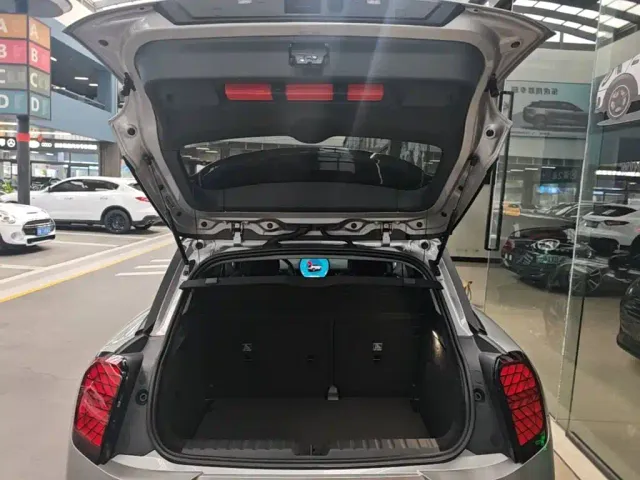 MINI Electric MINI ACEMAN — Фото автомобиля 18
