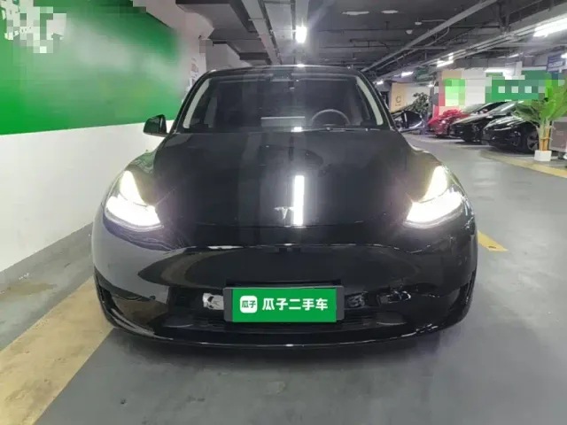 Tesla Model Y — Фото автомобиля 2