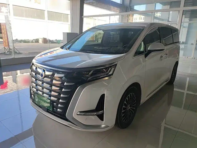 Фотография автомобиля — Denza D9