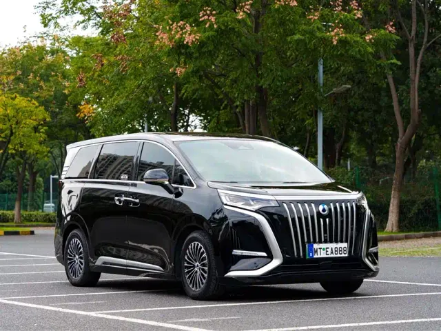 Denza D9 — Фото автомобиля 7