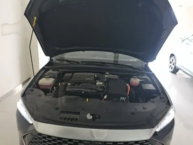 BYD Qin PLUS — Фото автомобиля 19