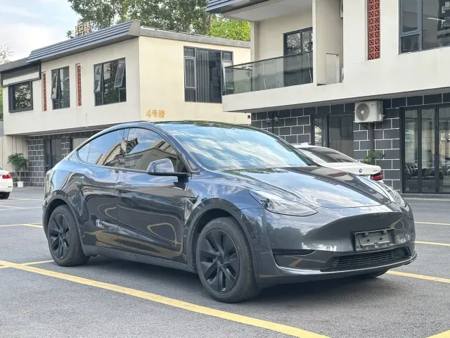 Tesla Model Y — Фото автомобиля 3