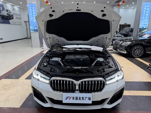 BMW 5 Series — Фото автомобиля 25