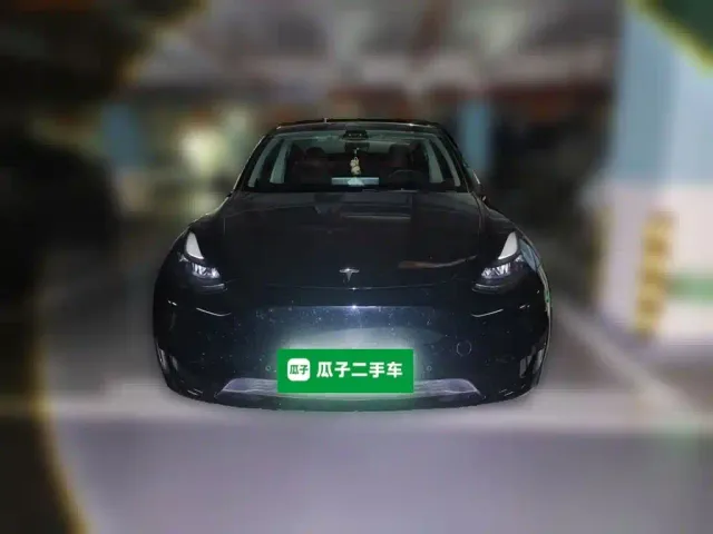 Tesla Model Y — Фото автомобиля 23