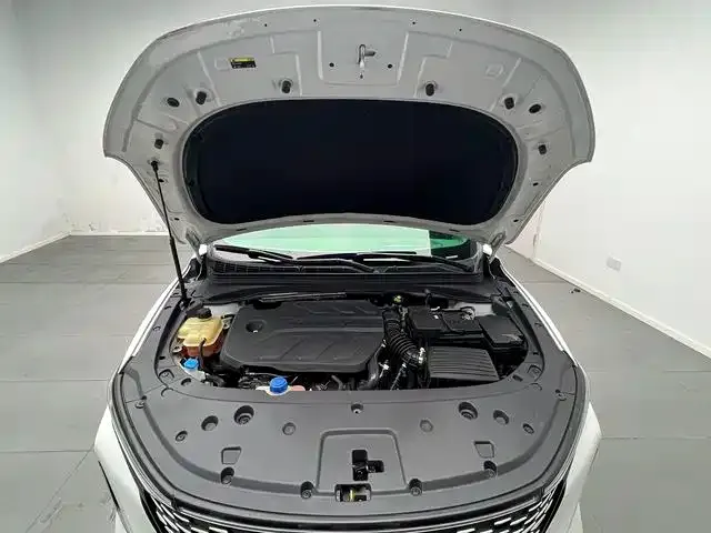 Changan Raeton Plus — Фото автомобиля 15