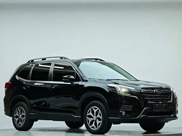 Subaru Forester — Фото автомобиля 19