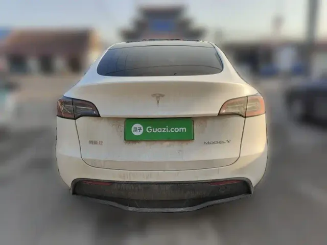Tesla Model Y — Фото автомобиля 3