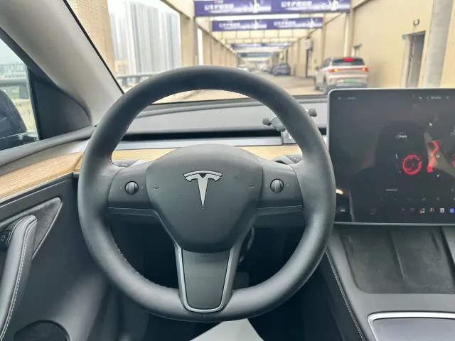 Tesla Model Y — Фото автомобиля 11