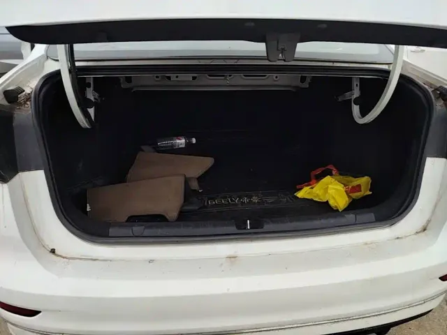 Geely Emgrand — Фото автомобиля 18