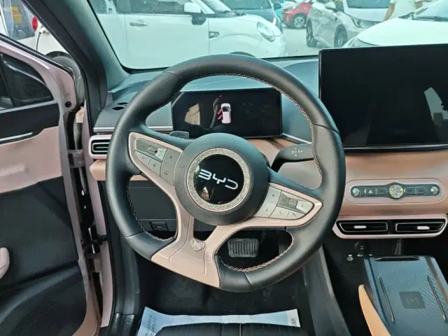 BYD Seagull — Фото автомобиля 10