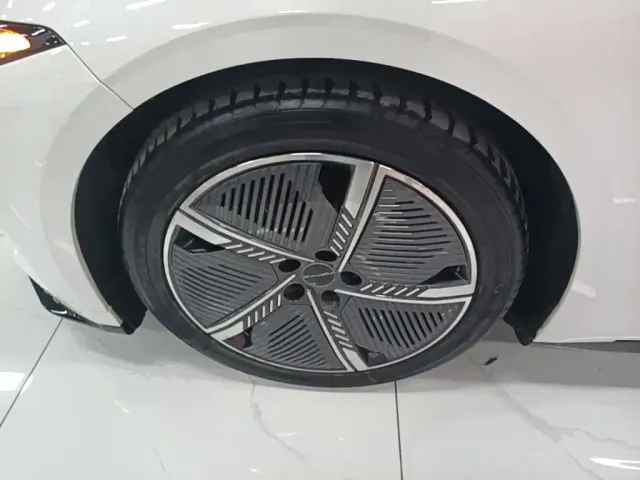 Forthing Xinghai S7 — Фото автомобиля 22