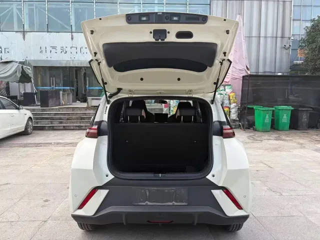 BYD Seagull — Фото автомобиля 13