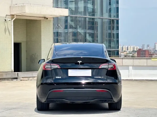 Tesla Model Y — Фото автомобиля 11