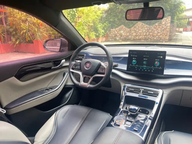 BYD Qin PLUS 2021 EV 500KM Luxury Model — Фото автомобиля 21