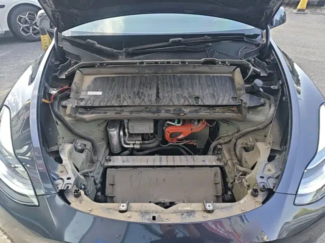 Tesla Model Y — Фото автомобиля 19