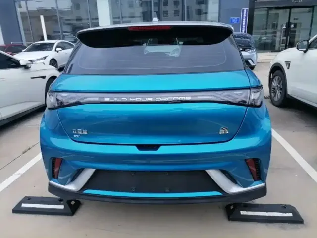 BYD Dolphin 2021 401km Knight Edition — Фото автомобиля 3