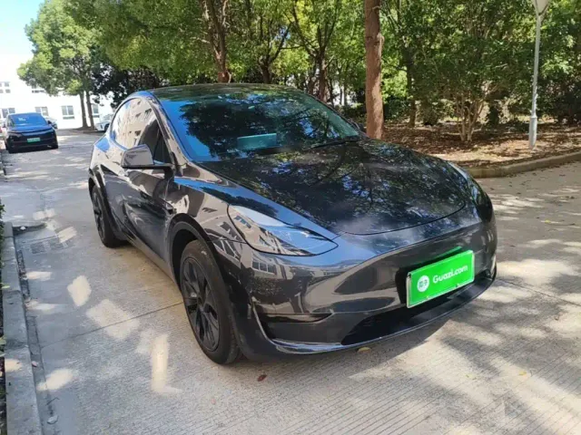 Tesla Model Y — Фото автомобиля 3