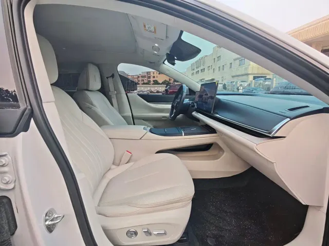 Buick Electra L7 — Фото автомобиля 16