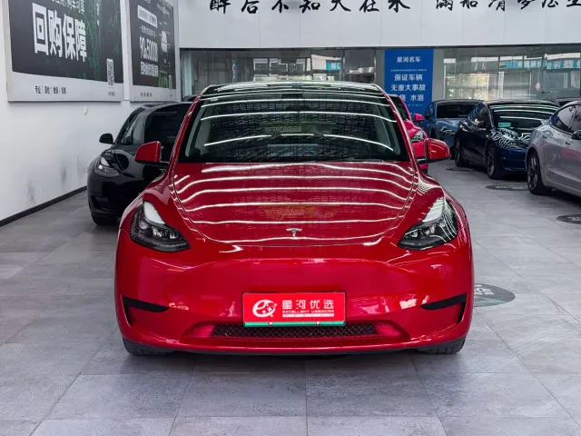Tesla Model Y — Фото автомобиля 2