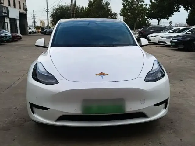 Tesla Model Y — Фото автомобиля 2