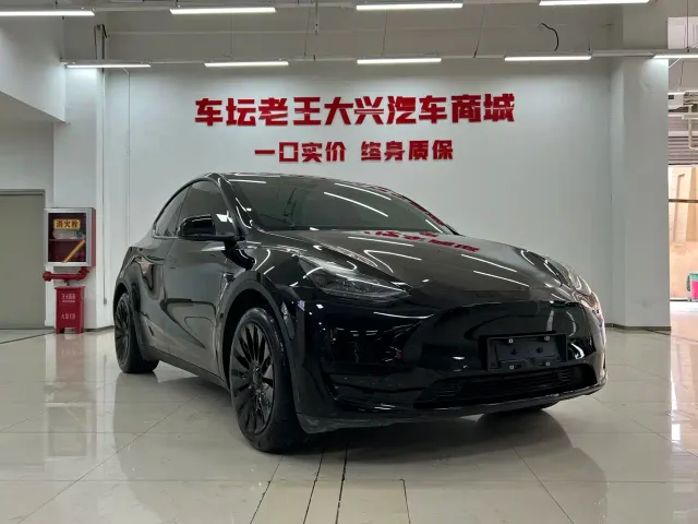 Tesla Model Y — Фото автомобиля 3