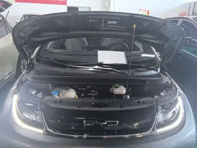 BYD Dolphin — Фото автомобиля 19
