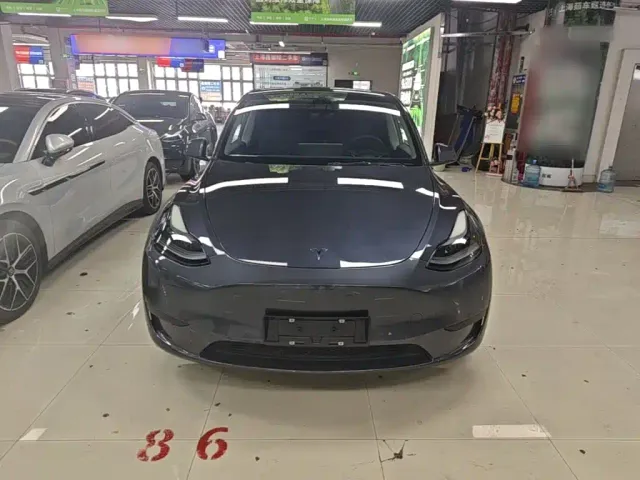 Tesla Model Y — Фото автомобиля 2