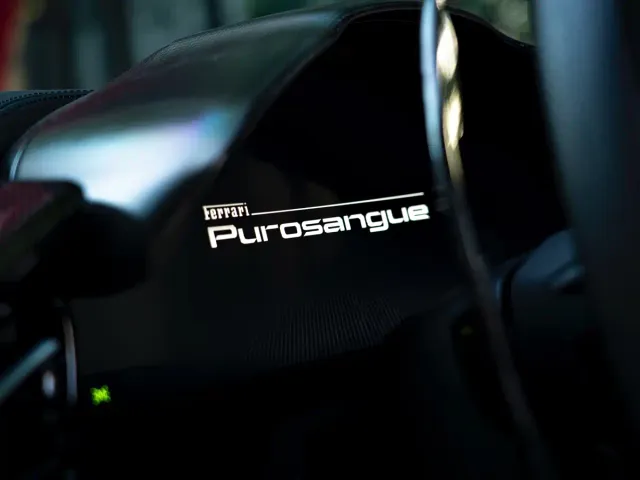 Ferrari Purosangue — Фото автомобиля 17