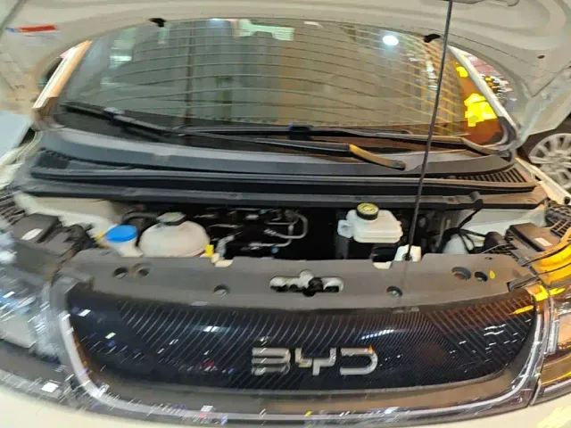 BYD Dolphin — Фото автомобиля 19