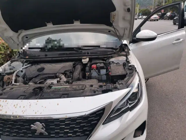 Peugeot 408 — Фото автомобиля 21