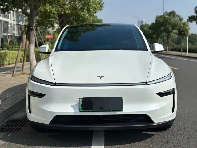 Tesla Model Y — Фото автомобиля 2