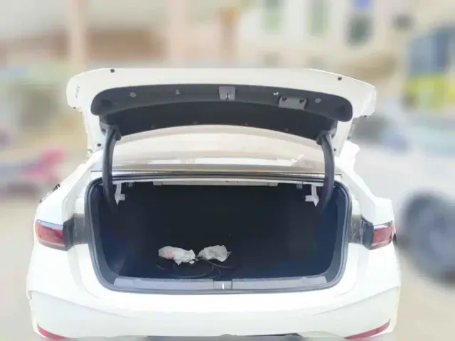 BYD Qin PLUS — Фото автомобиля 13