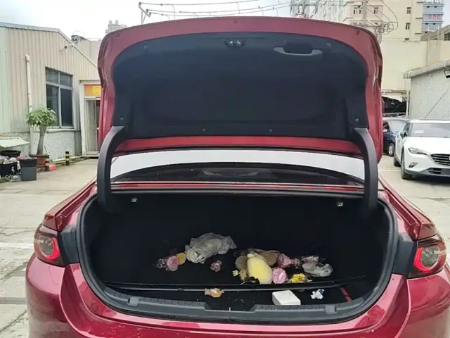 Mazda Axela — Фото автомобиля 18