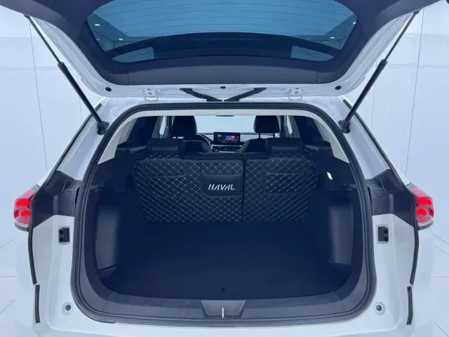 Haval H6 — Фото автомобиля 14
