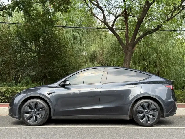 Tesla Model Y — Фото автомобиля 2
