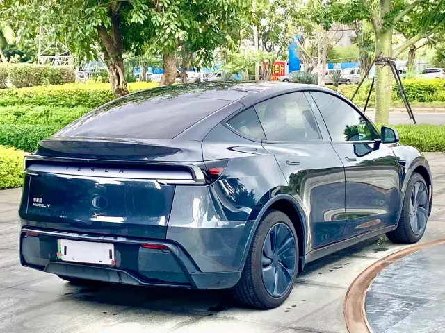Tesla Model Y — Фото автомобиля 9
