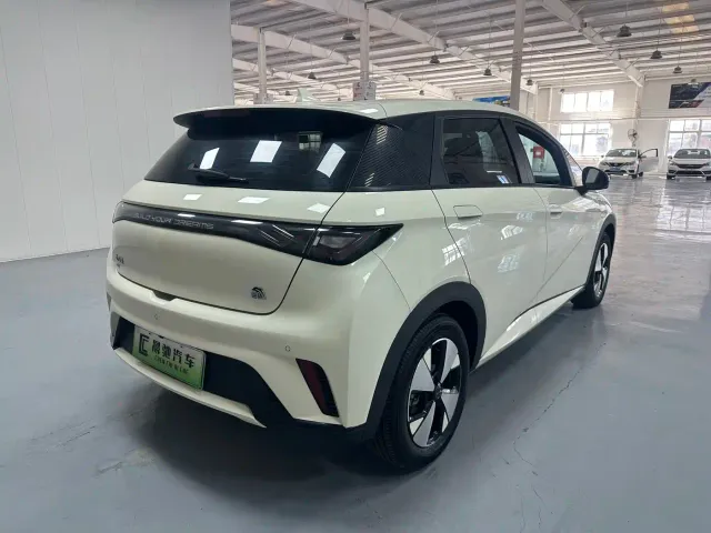 BYD Dolphin — Фото автомобиля 4
