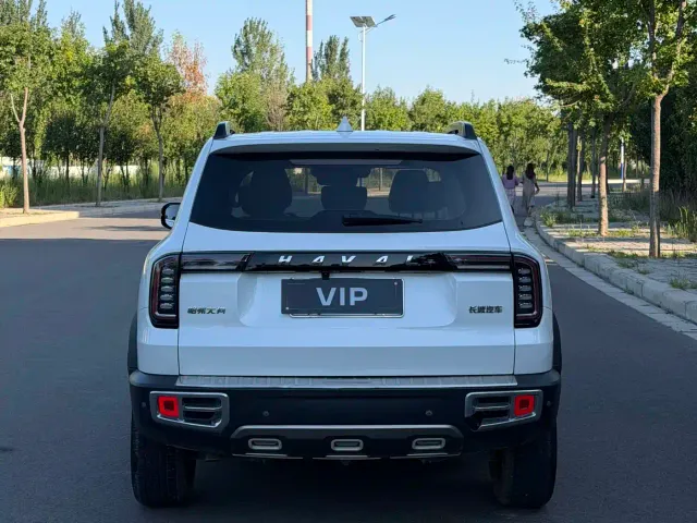 Haval Haval Big Dog 2021 1.5T DCT 2WD Border Collie - Wangcai Edition — Фото автомобиля 5