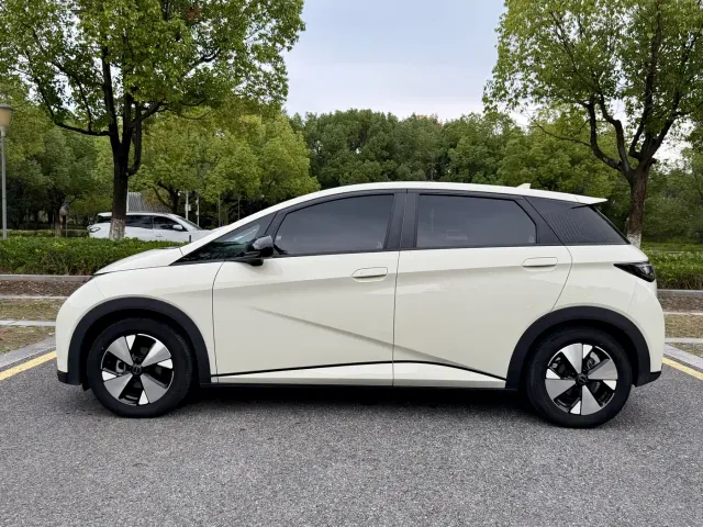 BYD Dolphin — Фото автомобиля 18