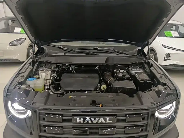 Haval Big Dog — Фото автомобиля 19