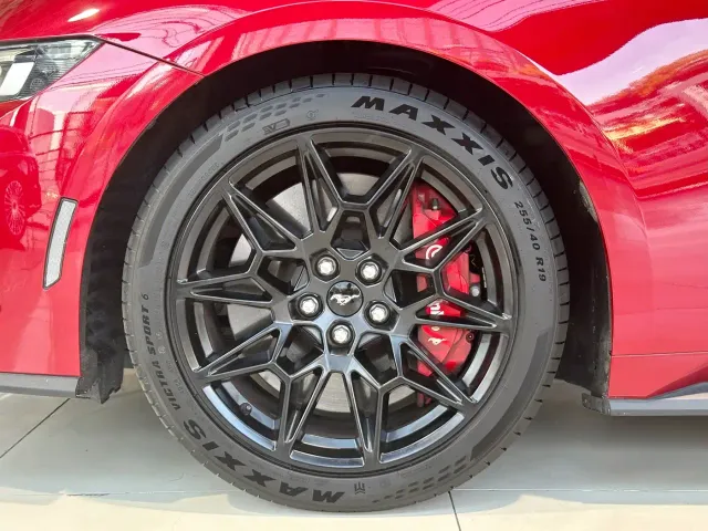 Ford Mustang — Фото автомобиля 18