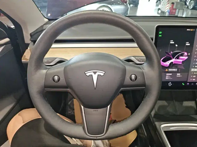 Tesla Model 3 — Фото автомобиля 10