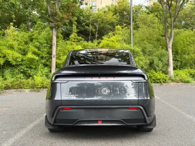 Tesla Model Y — Фото автомобиля 17
