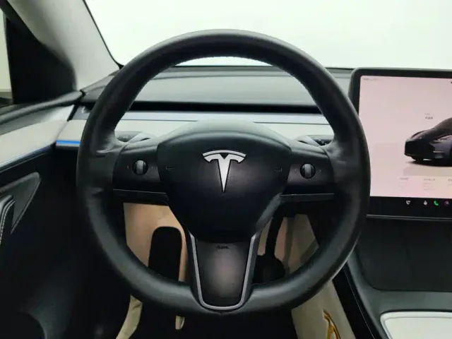 Tesla Model Y — Фото автомобиля 15