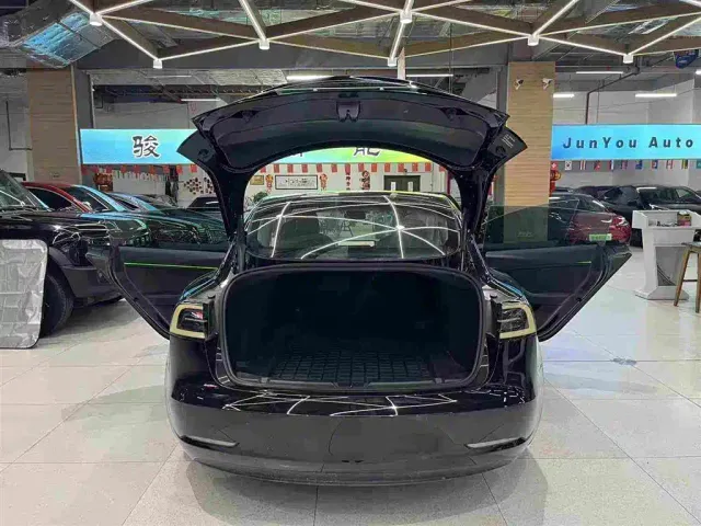 Tesla Model 3 — Фото автомобиля 21