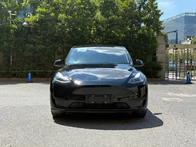 Tesla Model Y — Фото автомобиля 2